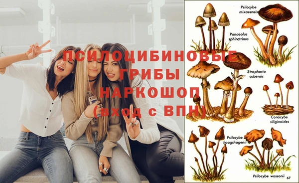 дистиллят марихуана Зеленокумск