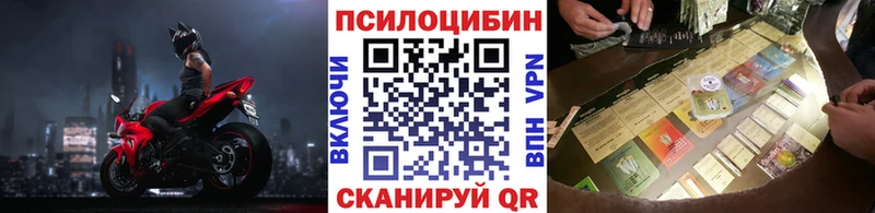 Галлюциногенные грибы GOLDEN TEACHER  Купить закладки  Заозёрск 